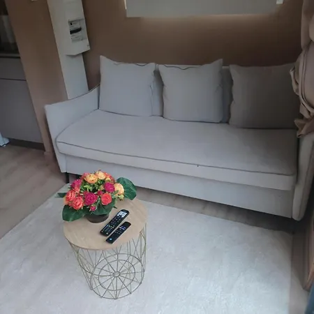 Le Refuge Des Loups Bed and Breakfast Biziat